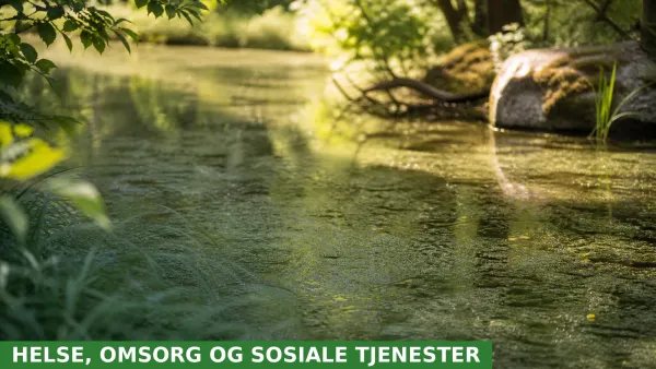 Alkohol, alger og administrative avvik