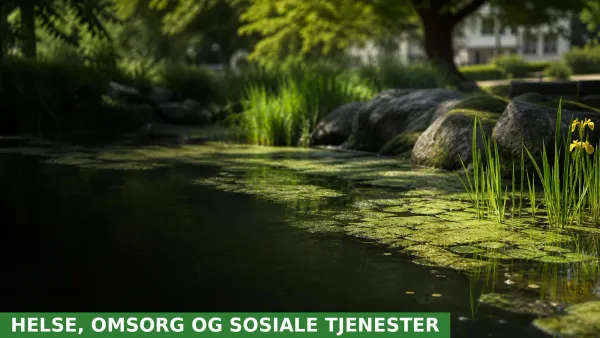Alkohol, alger og administrasjon